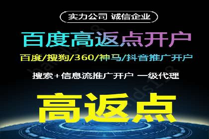 信息流广告投放公司案例策略解析